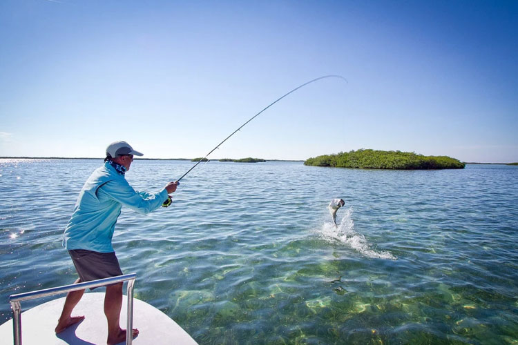 Game Fishing