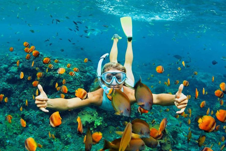 Snorkelling