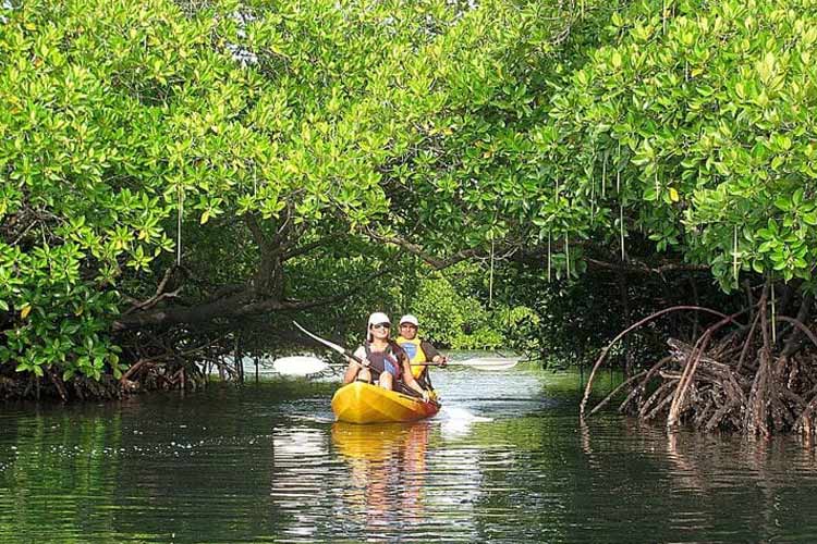 Kayaking