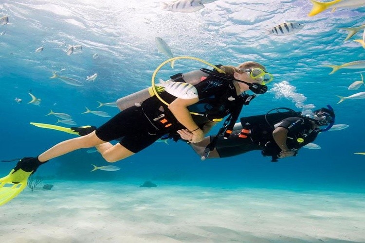 Boat Diving