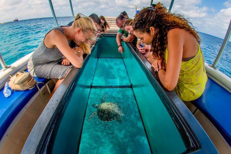 Glass-Bottom Boat Rides