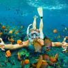 Snorkelling