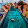 Glass-Bottom Boat Rides
