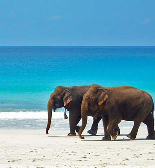 Elephanta Beach