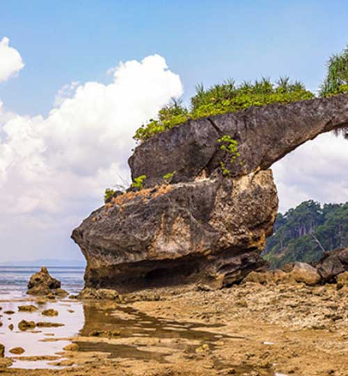 Natural Bridge