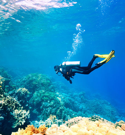 Scuba & Game Fishing